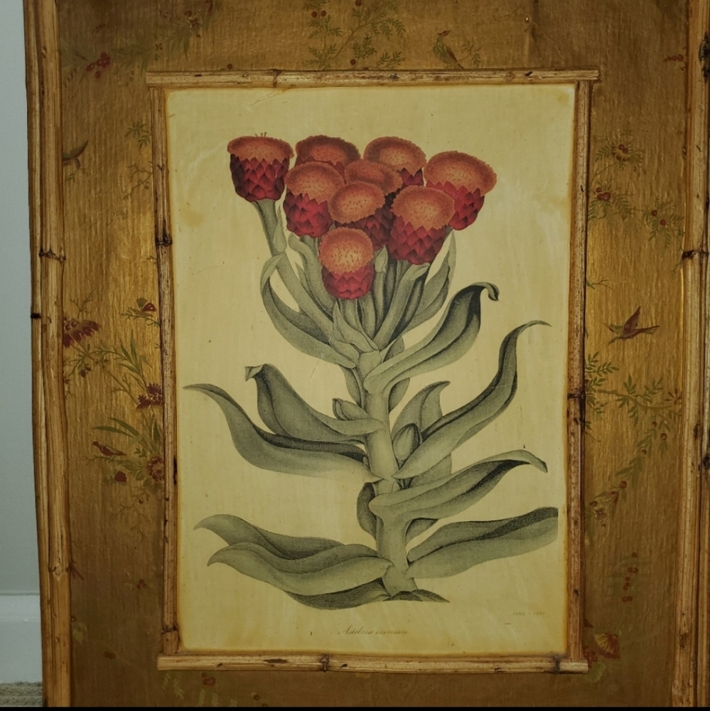 Large Vintage Picture Frame